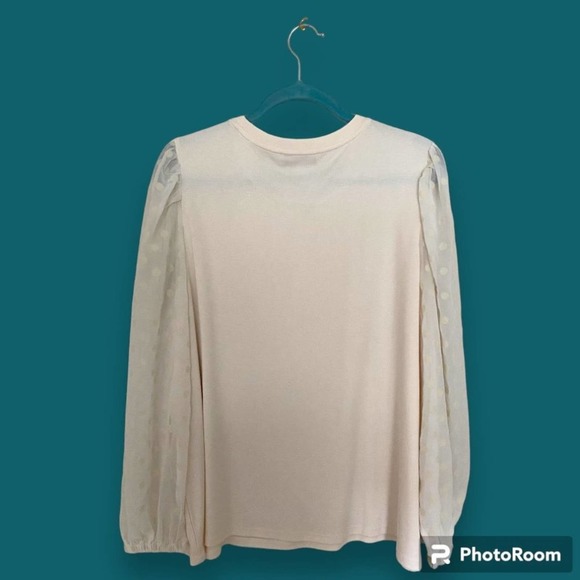 NWT Ann Taylor LOFT Blouse Cream round neck long sheer sleeves Sz Petite XXLP - Picture 2 of 6